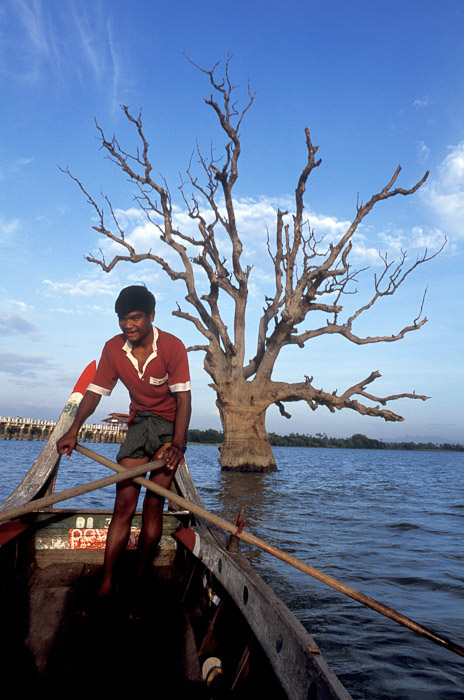un om care vâslește o barcă de lemn într-un lac în prim-planul unui copac
