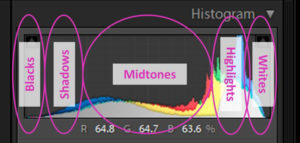 zrzut ekranu pokazujący, jak interpretować histogram kolorów