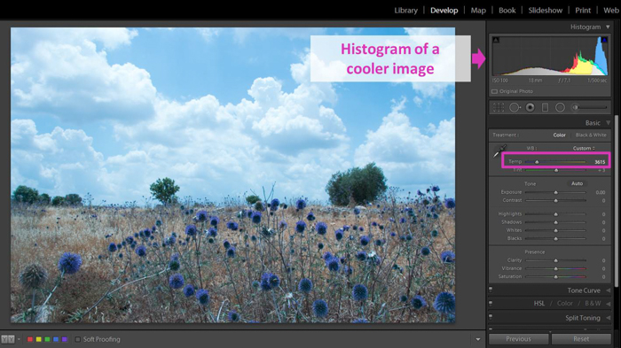een schermafbeelding van het bewerken van een foto met behulp van het Lightroom histogram