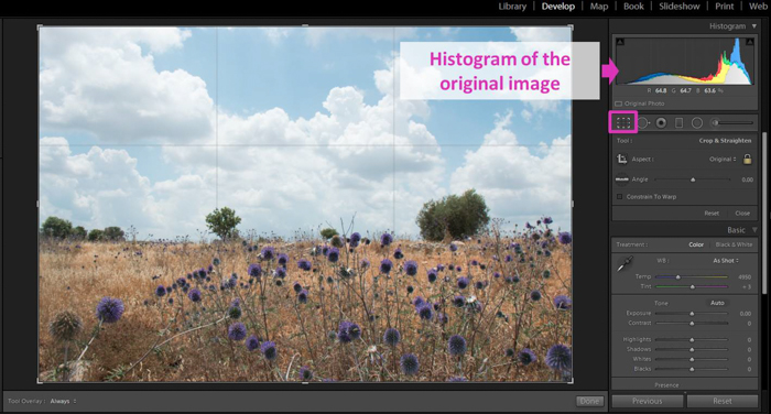 een schermafbeelding van het bewerken van een foto met behulp van het histogram Lightroom