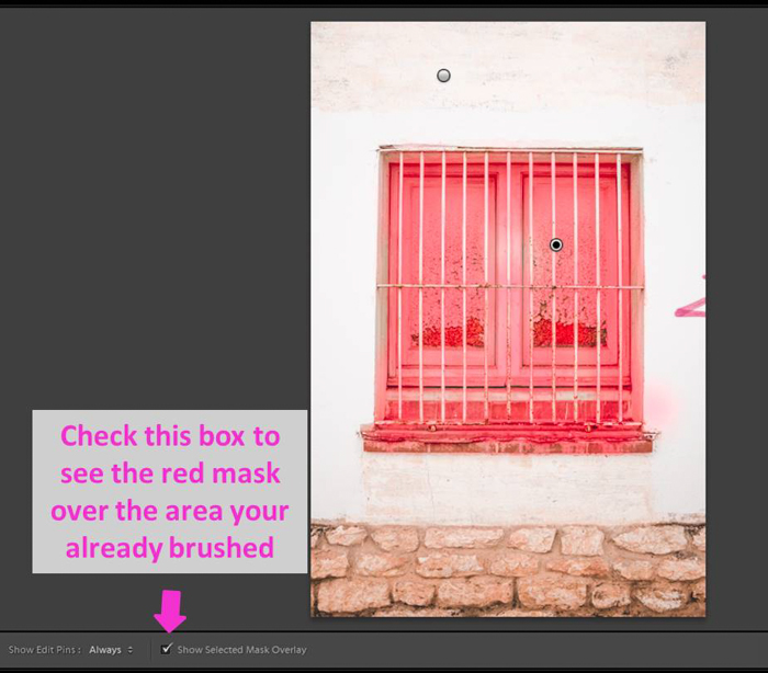 képernyőkép, amely bemutatja, hogyan kell használni a Lightroom beállító kefe eszközt
