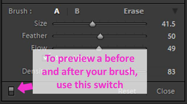 et skærmbillede, der viser, hvordan du bruger Lightroom Adjustment Brush Tool
