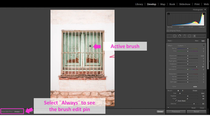 Uno screenshot che mostra come utilizzare lo strumento Pennello Regolazione Lightroom
