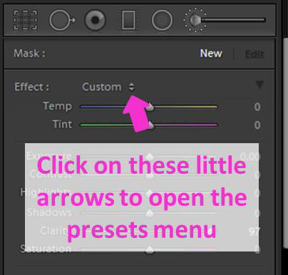 een schermafdruk die laat zien hoe u het gereedschap voor het aanpassen van Lightroom-penseel