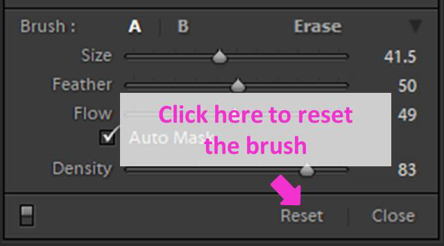  en skärmdump som visar hur du använder verktyget Lightroom Adjustment Brush