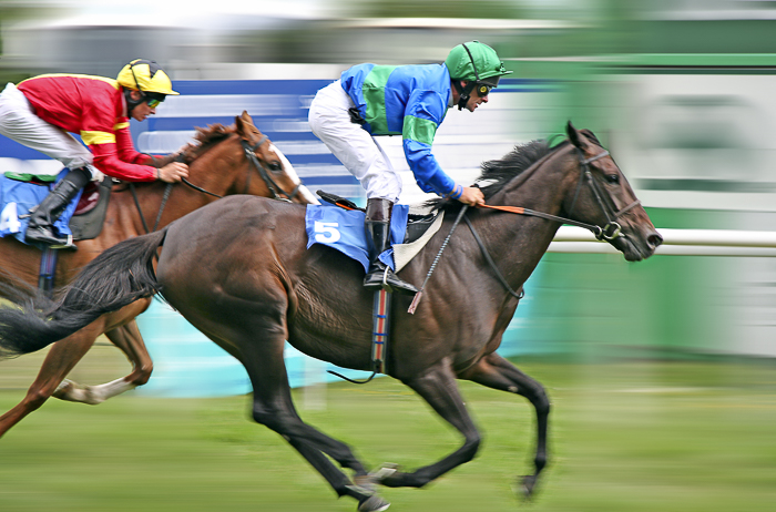 dois jockeys em cavalos durante uma corrida