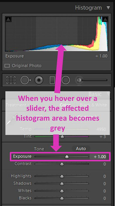 en skärmdump av redigering av ett foto med Lightroom histogram