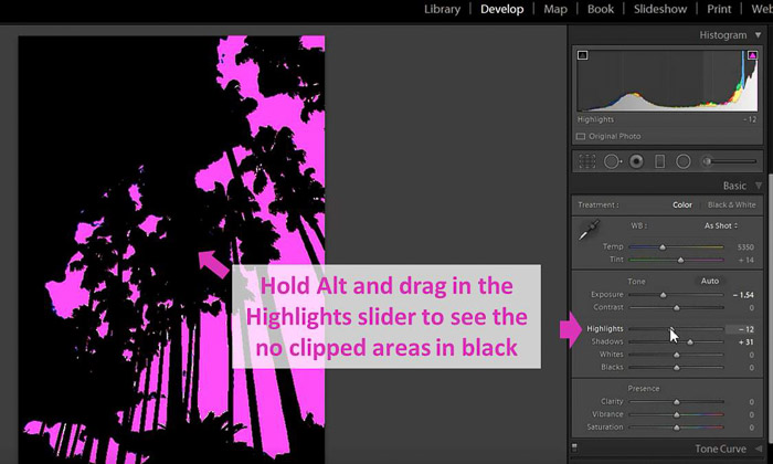 una captura de pantalla de edición de una foto con el histograma de Lightroom