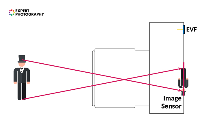 How Does A Camera Work Photography For Beginners