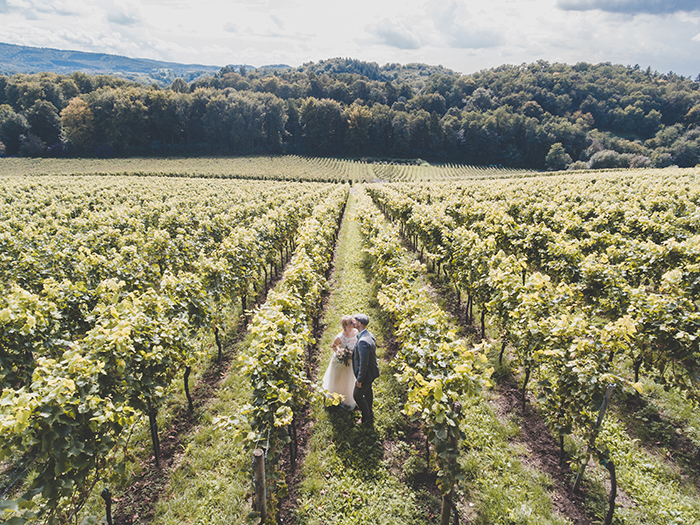 Foto pernikahan drone di kebun anggur