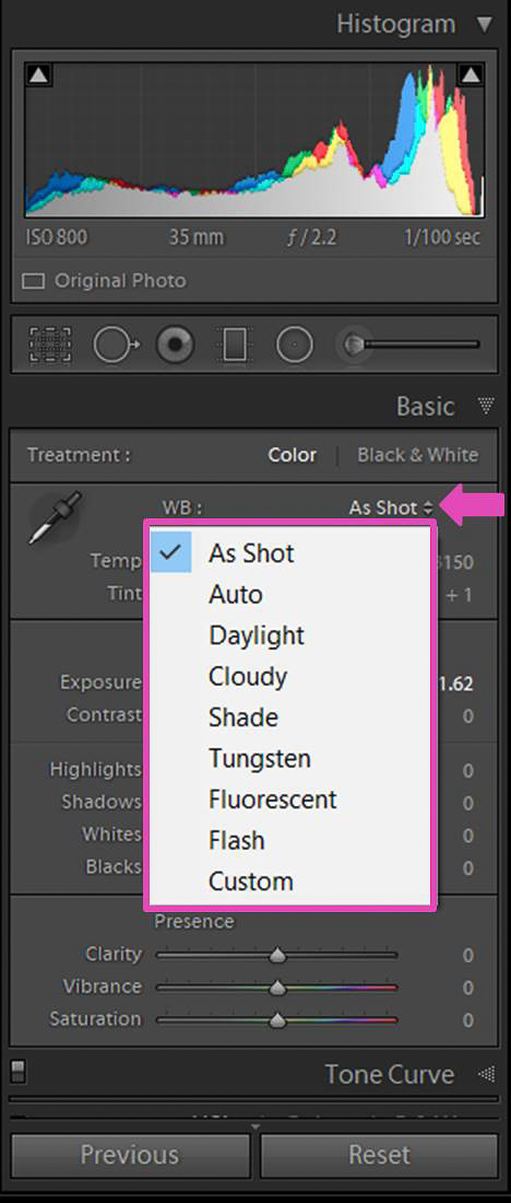 uno screenshot di regolazione del bilanciamento del bianco di una foto in Lightroom