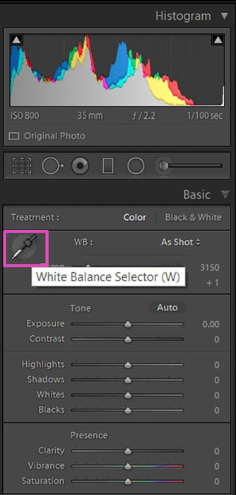 uma captura de tela de ajuste do balanço de branco de uma foto no Lightroom