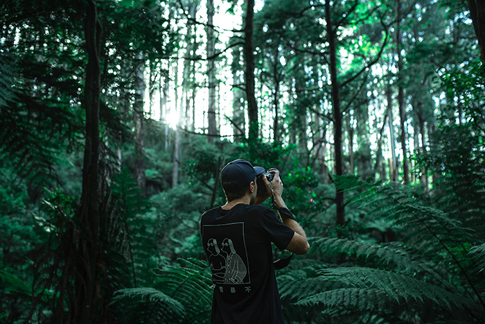 Um homem a fotografar fotografias numa floresta verde