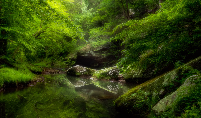 Foto eines kleinen Sees in einem Wald mit Orton-Effekt