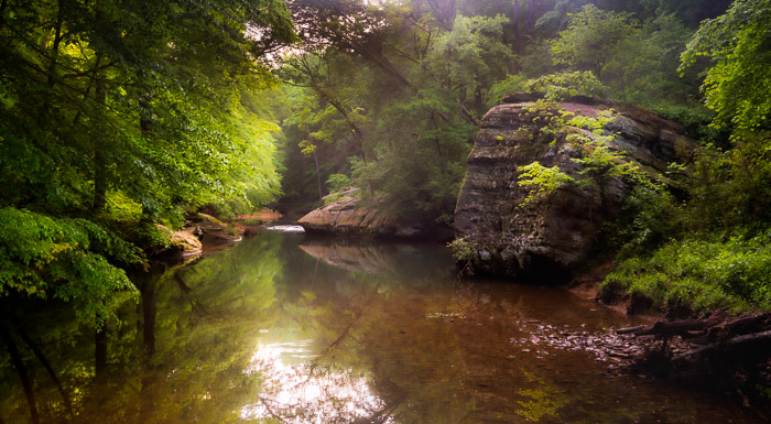 Bilde av en liten innsjø i en skog med orton-effekt