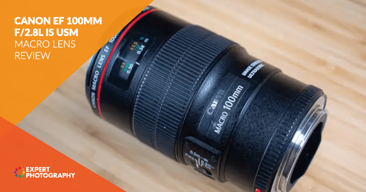 Canon Ef 100mm F 2 8l Is Usm Macro Lens Review