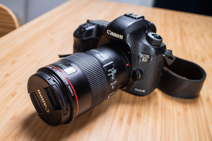 Canon EF 100mm f/2.8L IS USM Macro Lens Review 2020