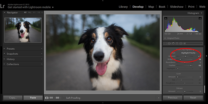 schermafbeelding van het bewerken van een hondenportret om een vignet in Lightroom te verwijderen