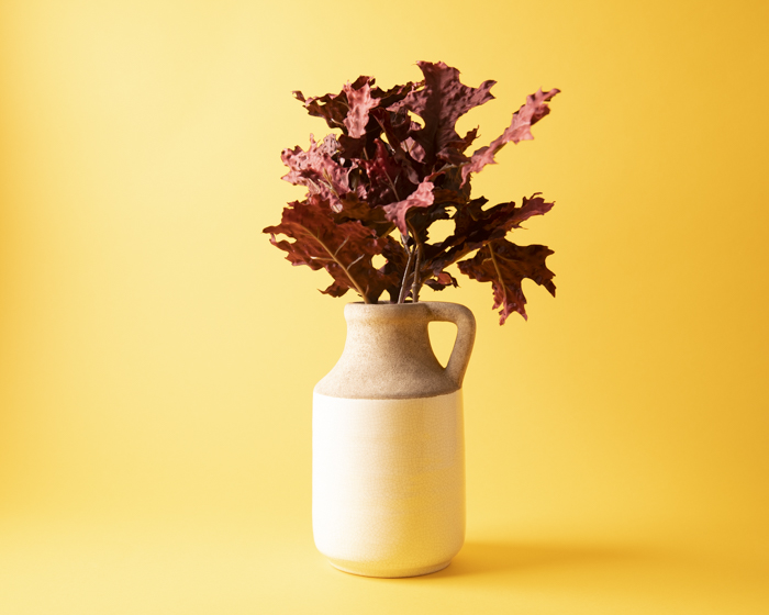 Um vaso de folhas em um fundo amarelo