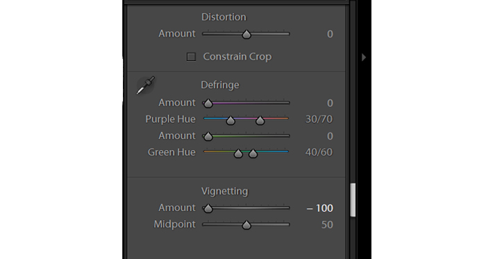 captura de pantalla que muestra el panel de correcciones de lentes en Lightroom