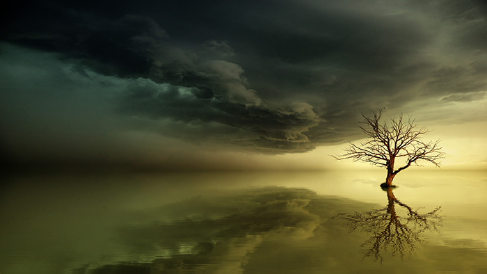 Foto artística de uma árvore em uma paisagem tempestuosa