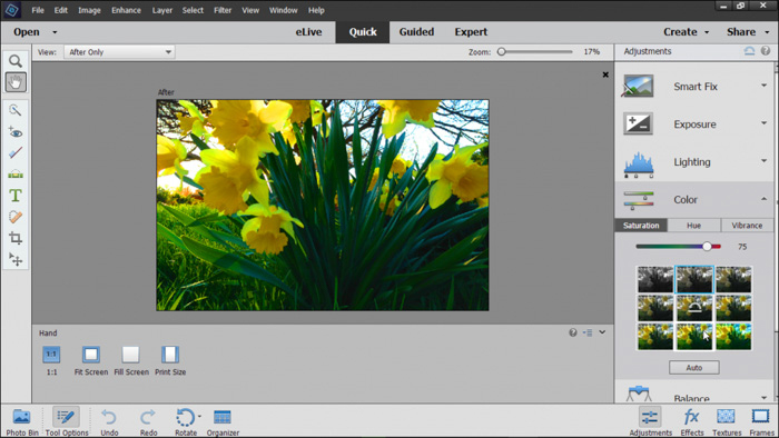 uma captura de tela do software de edição de fotos do Adobe Element em modo rápido