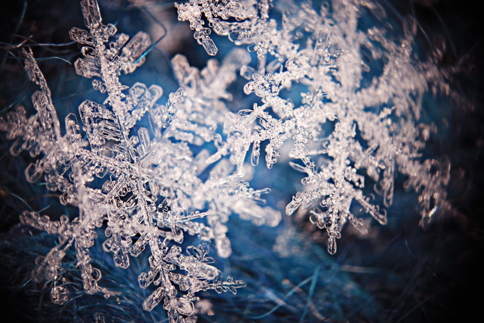 Uma imagem de close-up de um cristal de floco de neve.