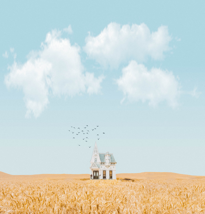 Uma imagem digitalmente manipulada de uma casa, pássaros e uma paisagem.