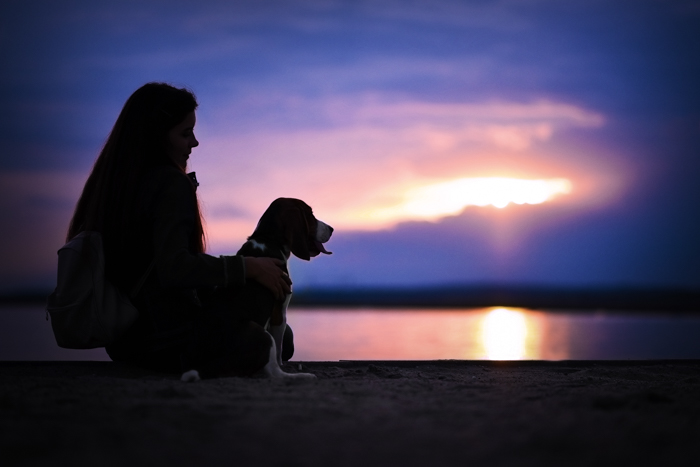 Fotografia legal da silhueta de uma menina e um cachorro em uma praia à noite