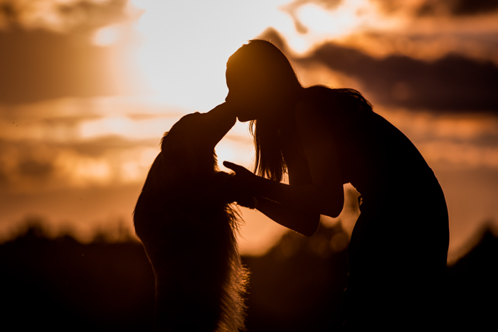 Foto legal da silhueta de uma garota beijando um cachorro