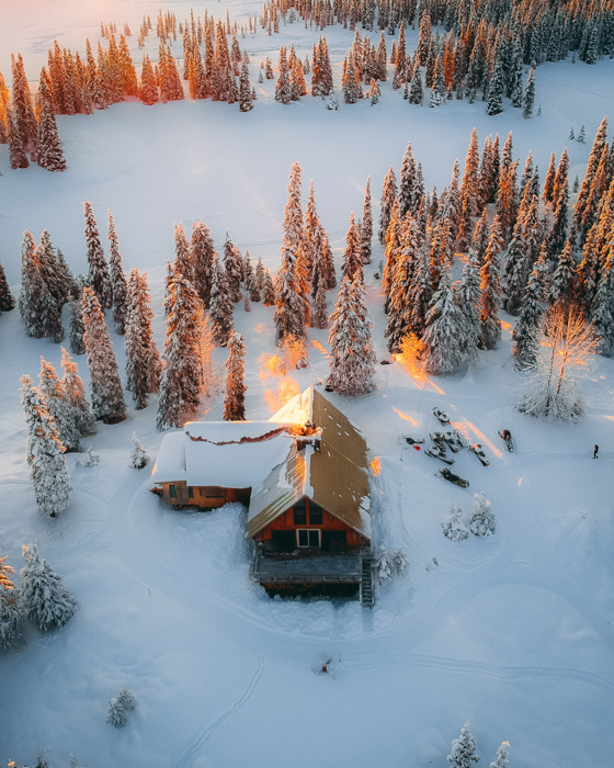 Fotografia aérea de pinheiros, neve e uma cabana sob os raios do sol.