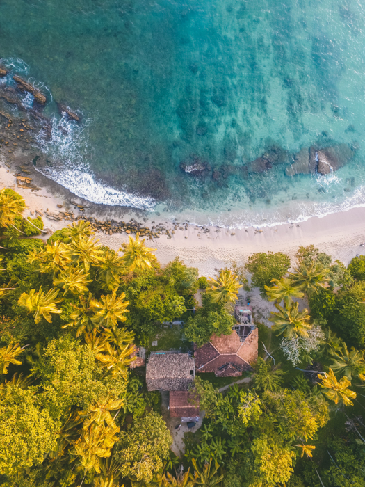 fotografia aérea de praia, cabanas e palmeiras